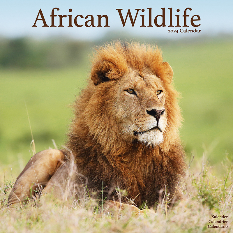 Kalender 2024 African Wildlife - Afrikanische Tiere