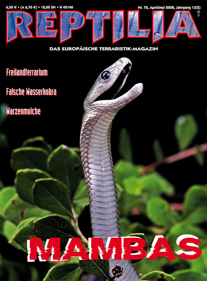 Reptilia 70 - Mambas