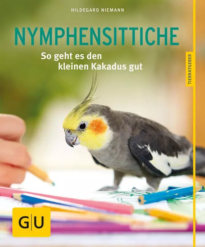 GU Nymphensittiche
