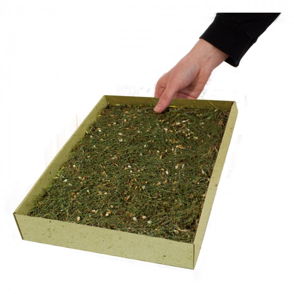 JR Pick-Wiese 600g
