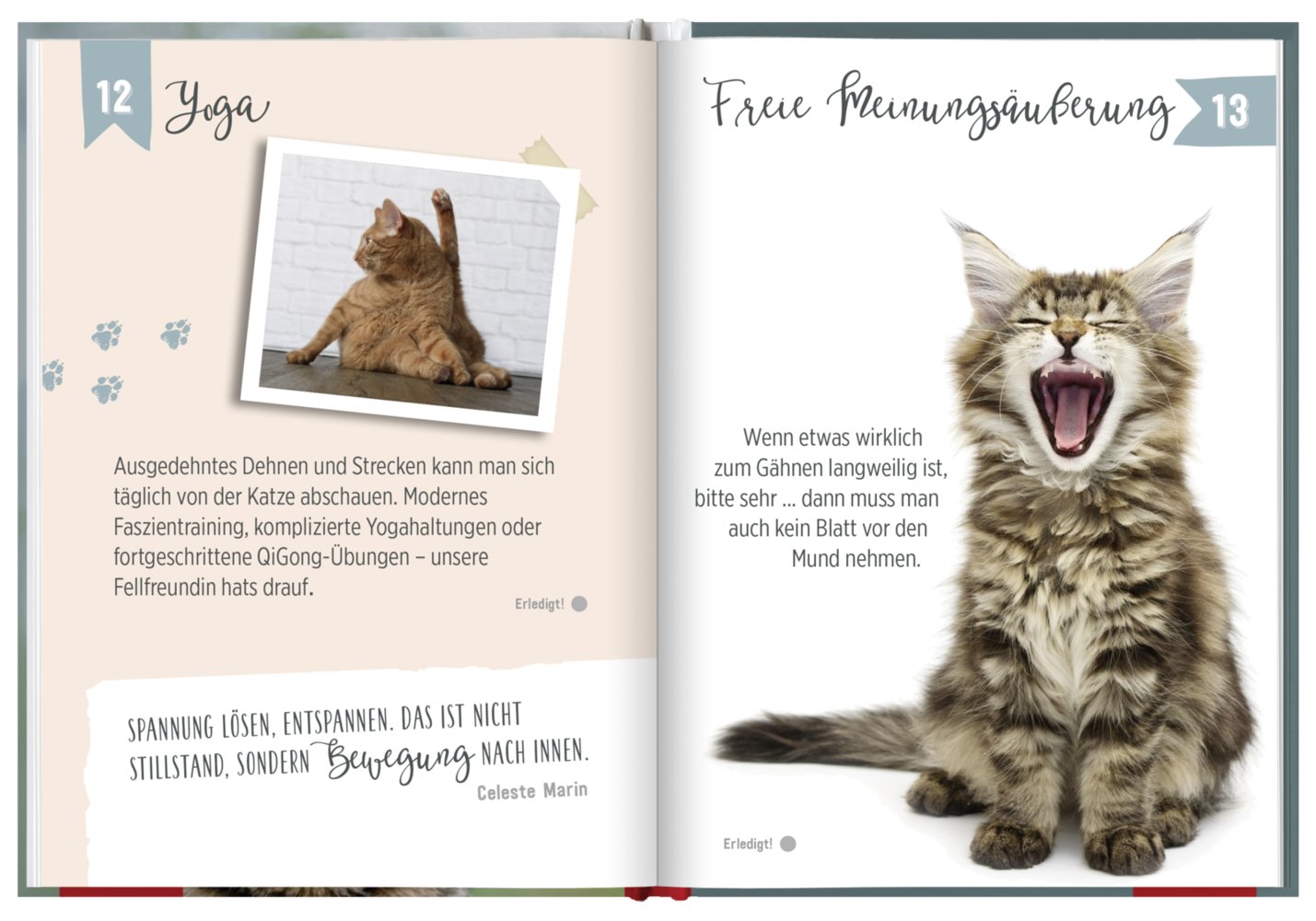 100 Dinge, die man von einer Katze lernen