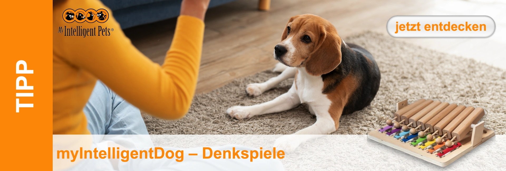 Ein Beagle liegt auf einem Teppich neben einem hölzernen Denkspiel. Eine Person mit gelbem Oberteil ist im Hintergrund zu sehen.