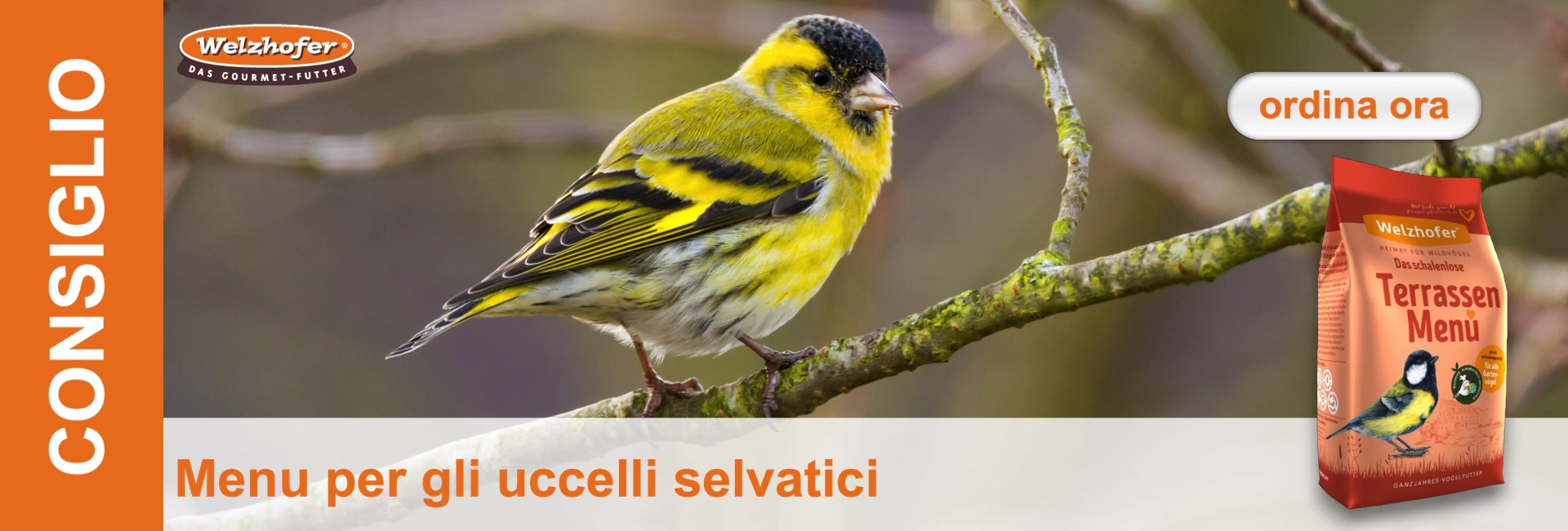 Un lucherino dalle piume gialle e nere siede su un ramo. A destra c'è una confezione di cibo per uccelli.