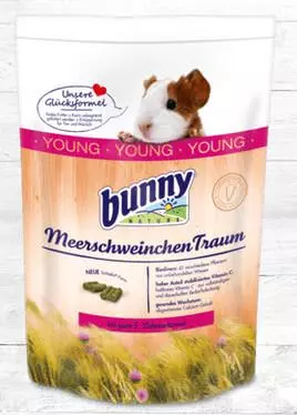 Bunny MeerschweinchenTraum young