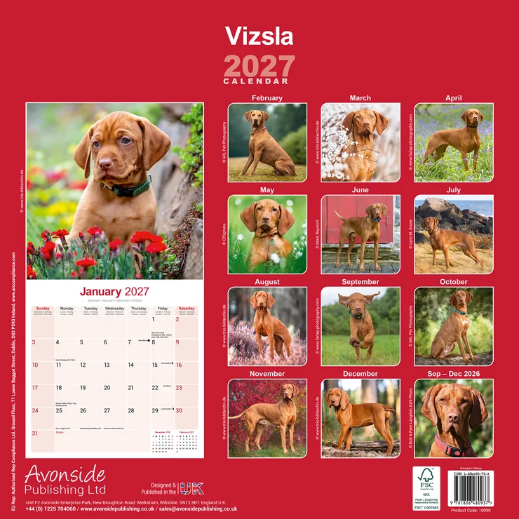 Kalender 2027 Vizsla