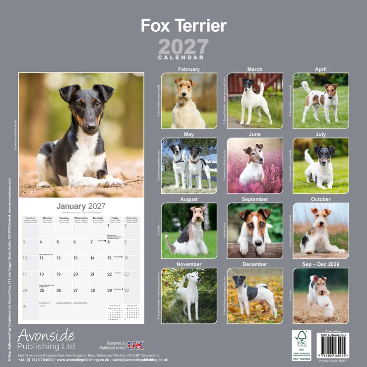 Calendrier 2026 Fox Terrier