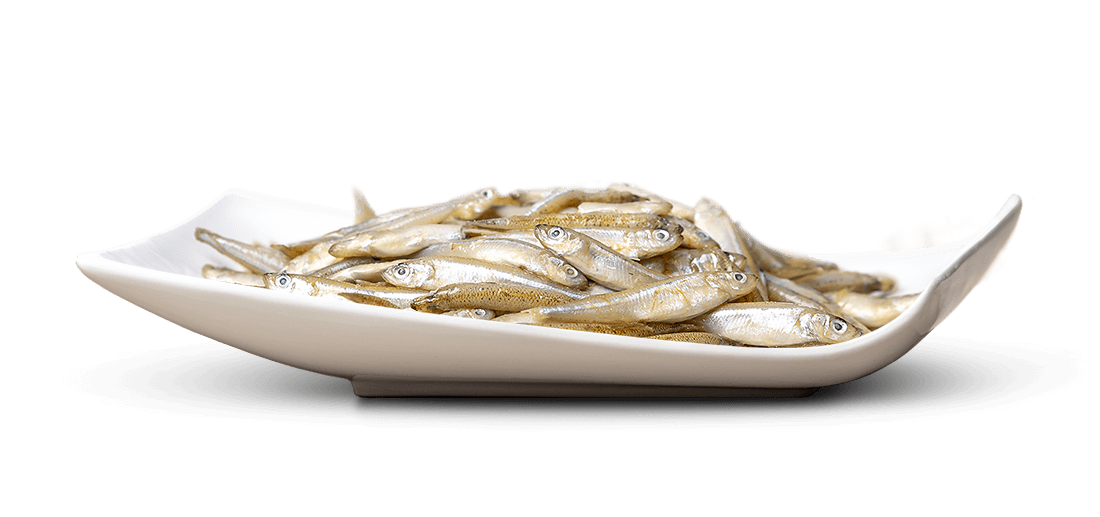 A small, white, rectangular dish is brimming with small, silvery-brown fish, piled high. They lie close together; their scales and eyes are clearly visible. The light-coloured background emphasises their texture and abundance.