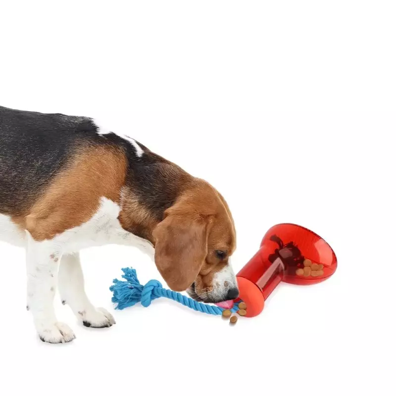 Distributeur de chaussures pour chiens Snackspender