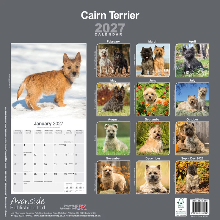 Calendario 2026 Cairn Terrier