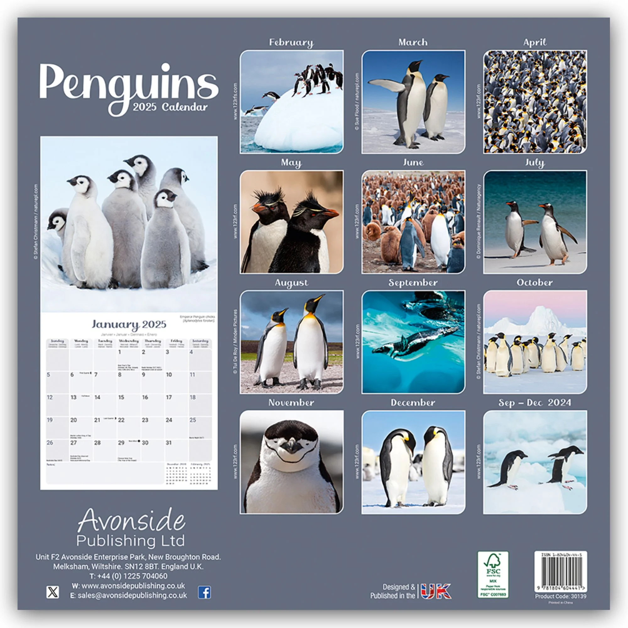 Calendar 2026 Penguins - Penguin - Penguins