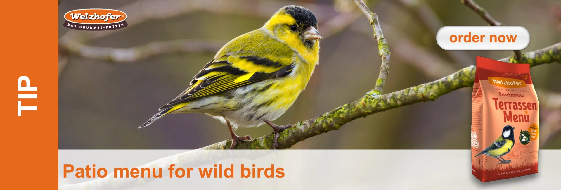 A yellow and black feathered bird sits on a moss-covered branch; next to it is a feeding bag for wild birds.