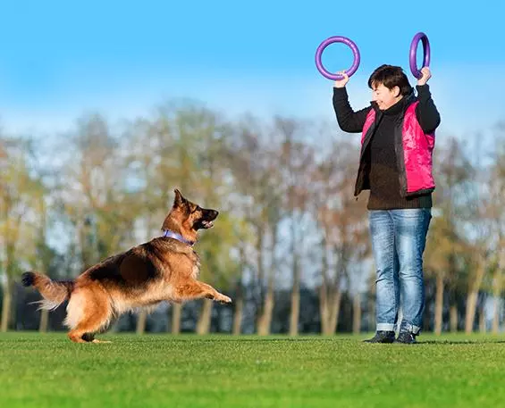 Puller play ring for dogs