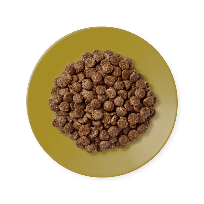 Applaws Adult Chicken & Lamb