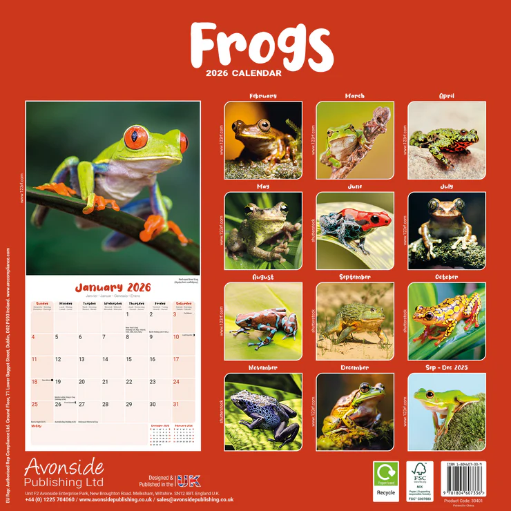 Calendrier 2026 Grenouilles : La photo de couverture montre une grenouille aux yeux rouges sur une branche, aperçu mensuel avec d'autres photographies de grenouilles.