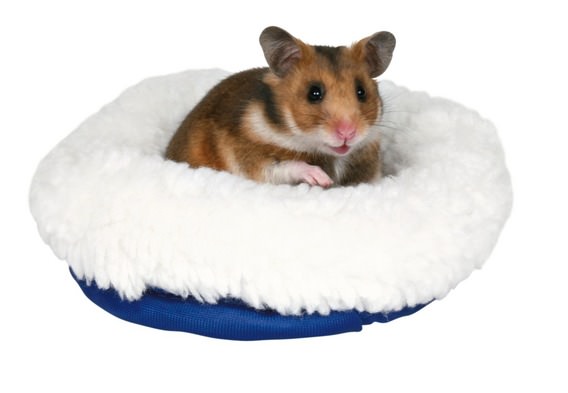 Hamsterkuschelbett, 16,5 x 15,5 cm