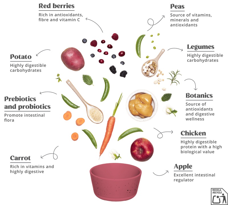 Summit10 - Cat - Adult - FRESH CHICKEN