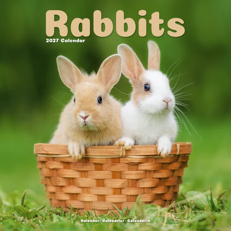 Kalender 2027 Kaninchen - Zwergkaninchen - Rabbits