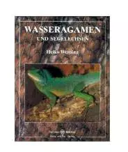 NTV - Wasseragamen und Segelechsen