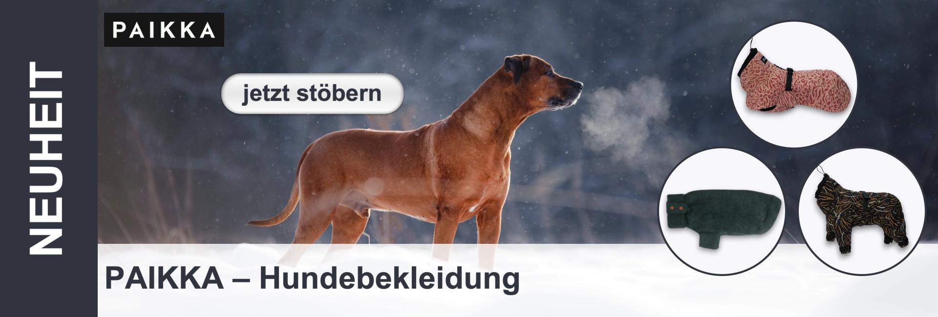 Scena invernale con un cane marrone nella neve, respiro visibile, con accanto immagini di abbigliamento per cani.