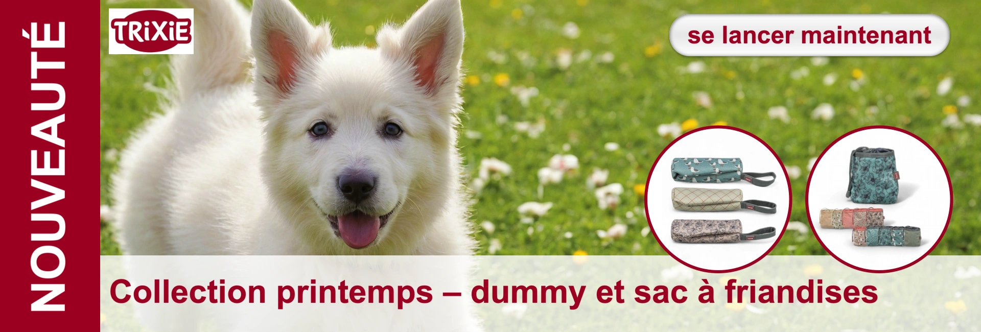 Gros plan sur un chiot berger blanc dans un pré, avec des accessoires pour chiens et le logo «Trixie».