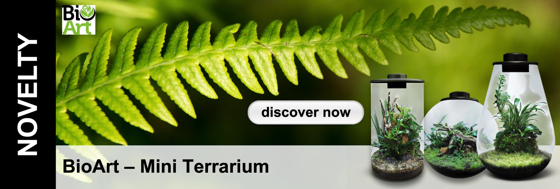 Green fern in the background, beneath which are mini terrariums in various shapes containing plants and moss. Text: ‘BioArt – Mini Terrarium’.
