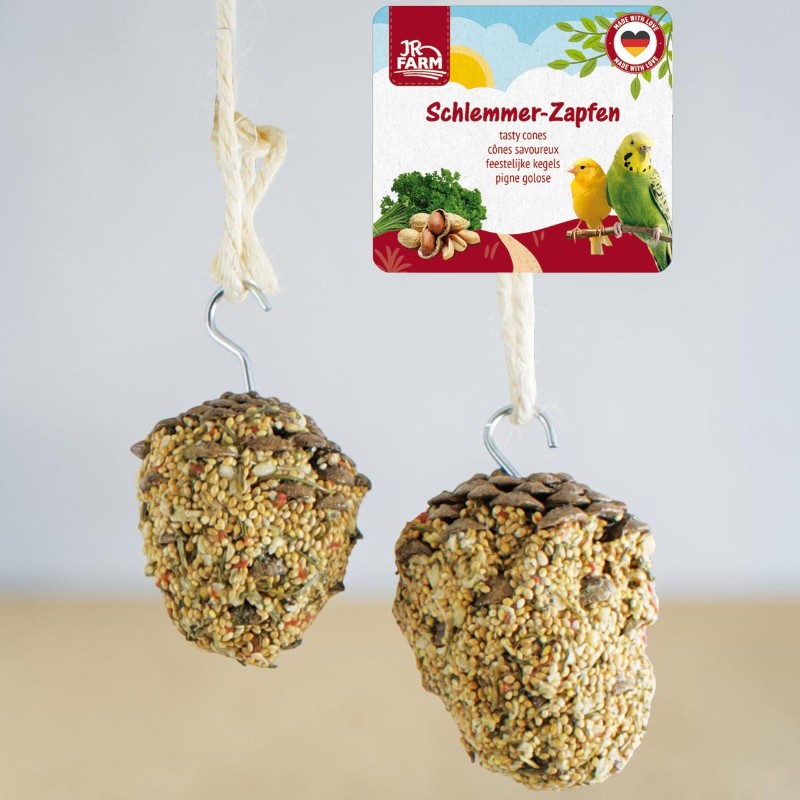 Zwei Vogelfutterzapfen, reichlich mit verschiedenen Samen und Körnern bedeckt, hängen an robusten Hanfschnüren. Oben rechts ist ein Produktetikett mit dem Markennamen JR Farm und Abbildungen von Sittichen, Petersilie und Erdnüssen sichtbar.