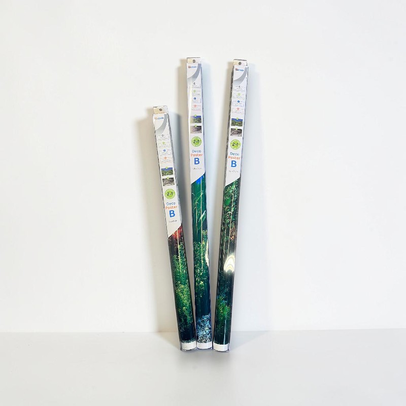 Drei gerollte Dekorationsposter mit Waldmotiven, in schmalen, weißen Verpackungen, stehen aufrecht vor einem weißen Hintergrund.