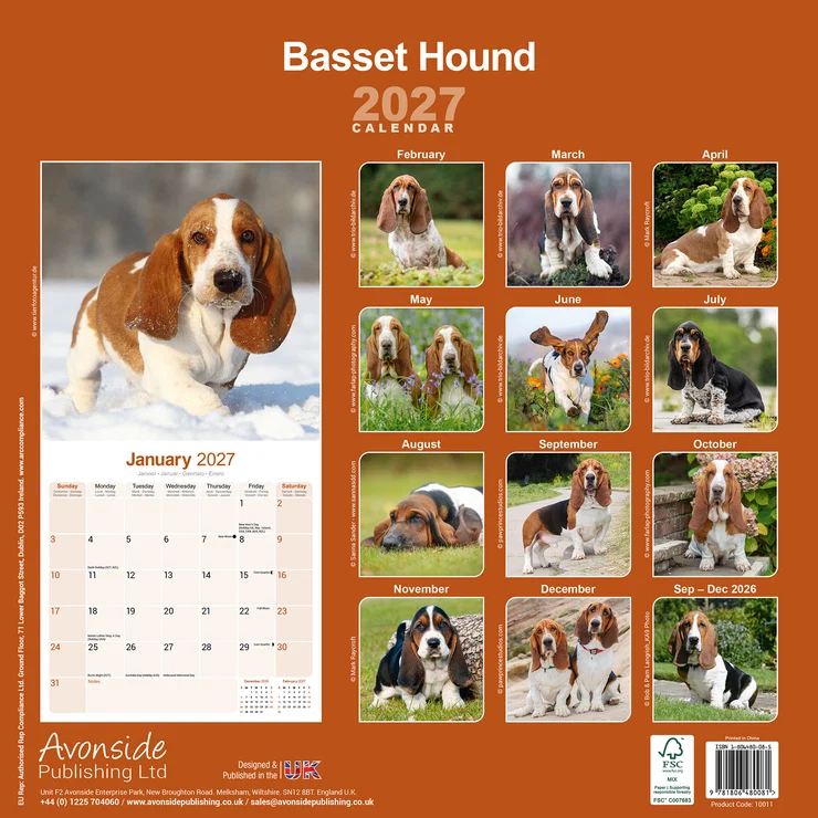 Kalender 2027 Basset Hound