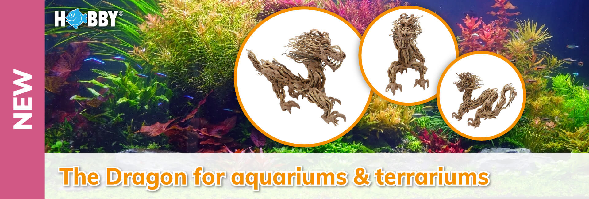 Hobby - The Dragon for aquariums & terrariums