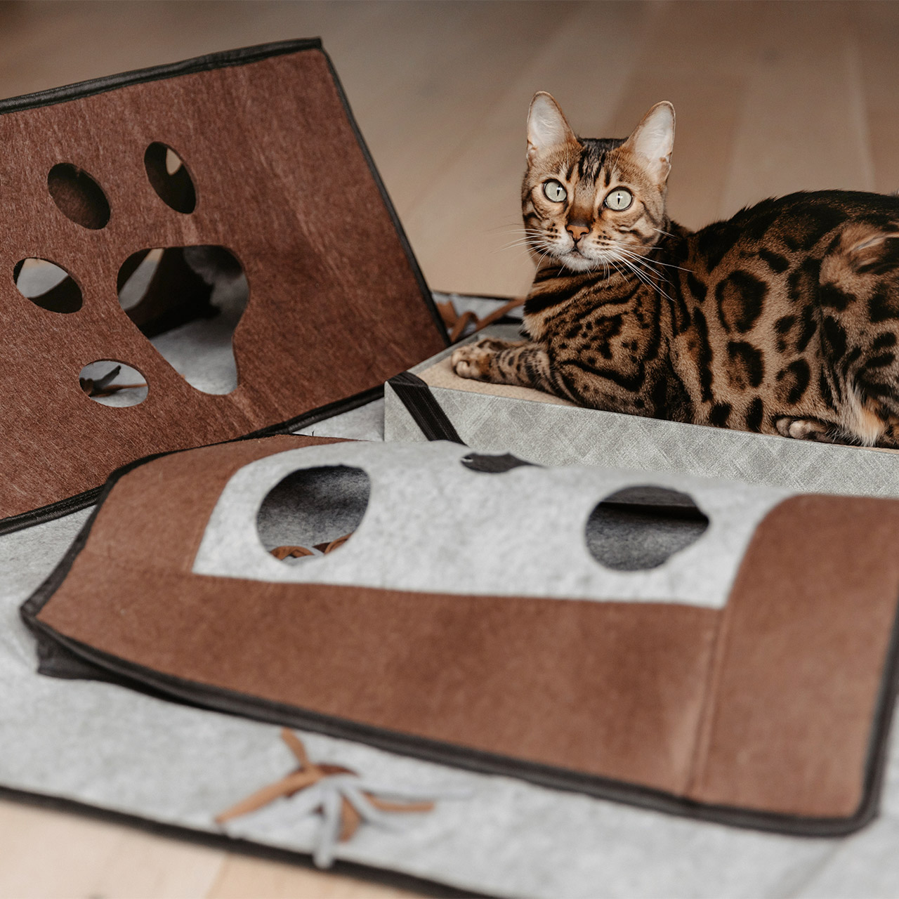Play carpet XXL Activity for cats