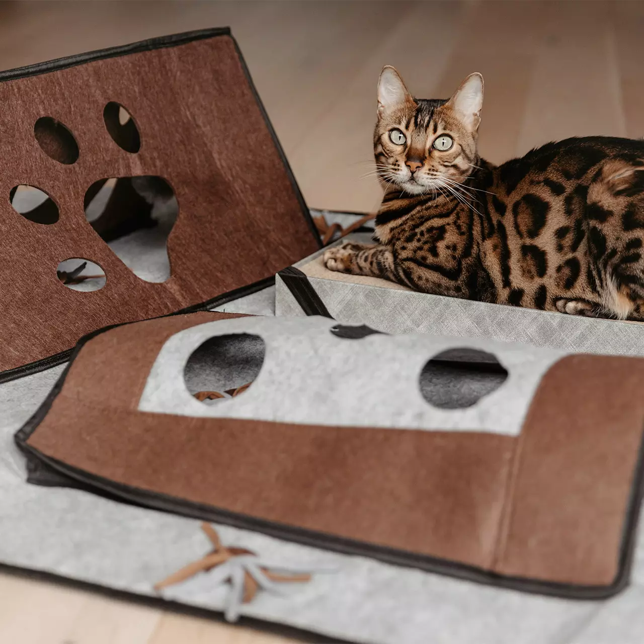 Spielteppich  XXL Activity für Katzen