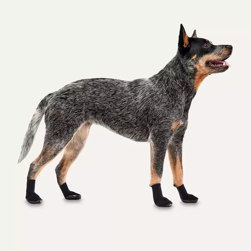 Chaussures pour chiens Boots ULTRAS en pack de 2