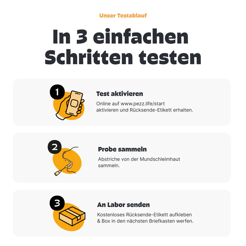 DNA-Test Rassenbestimmung für Katzen