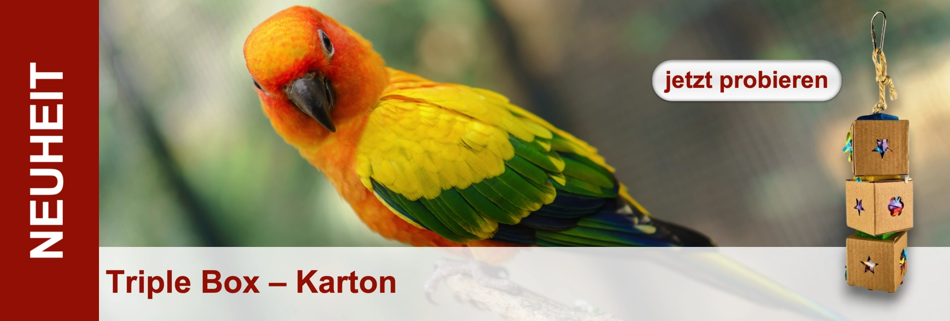 Un pappagallo aratinga dal petto giallo siede accanto a un giocattolo appeso composto da tre cubi di cartone.