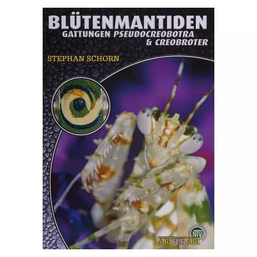 Blütenmantiden