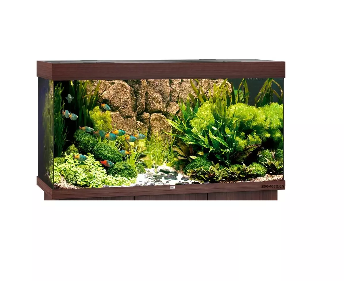 a-braun578f7b4fdec55 Juwel Aquarium Rio 300