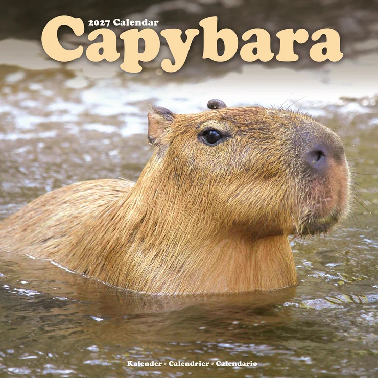 Kalender 2027 Capybara - Wasserschwein - Cabiai