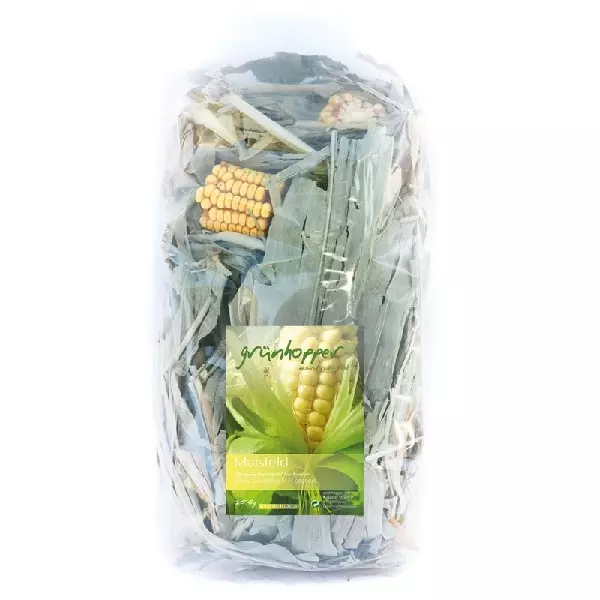 Grünhopper Maisfeld