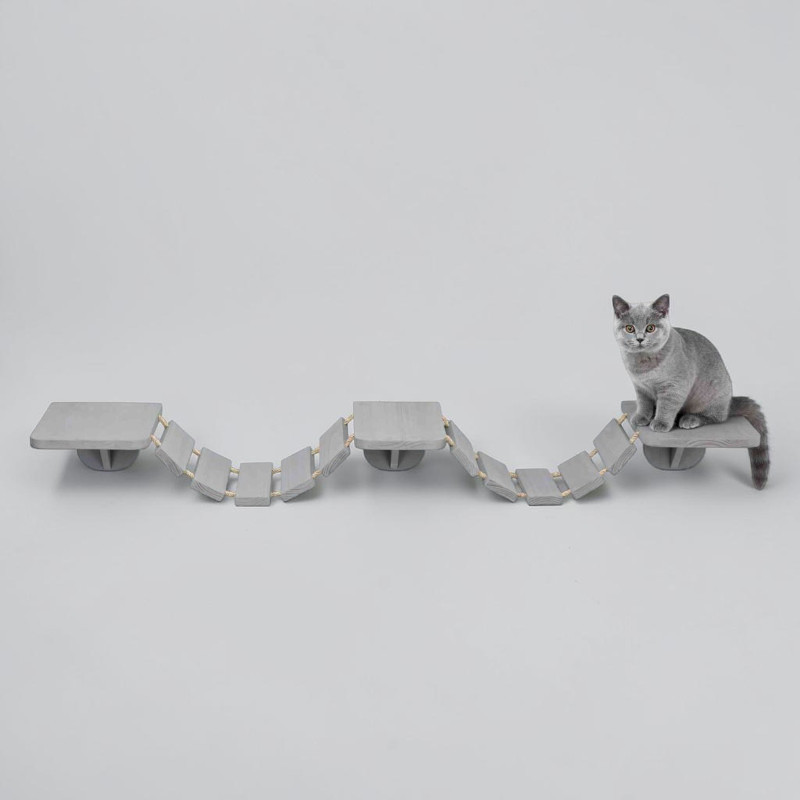 Échelle à grimper incurvée de couleur taupe pour chats, composée de planches de bois et de cordes en sisal, fixée à un mur clair. Longueur d'environ 150 cm avec trois plateformes intégrées. Un chat gris est assis à droite et regarde vers l'avant.
