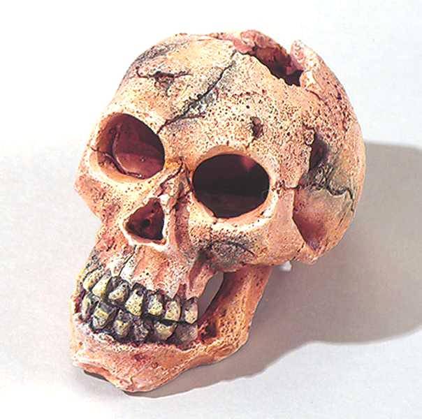 Skull 11cm
