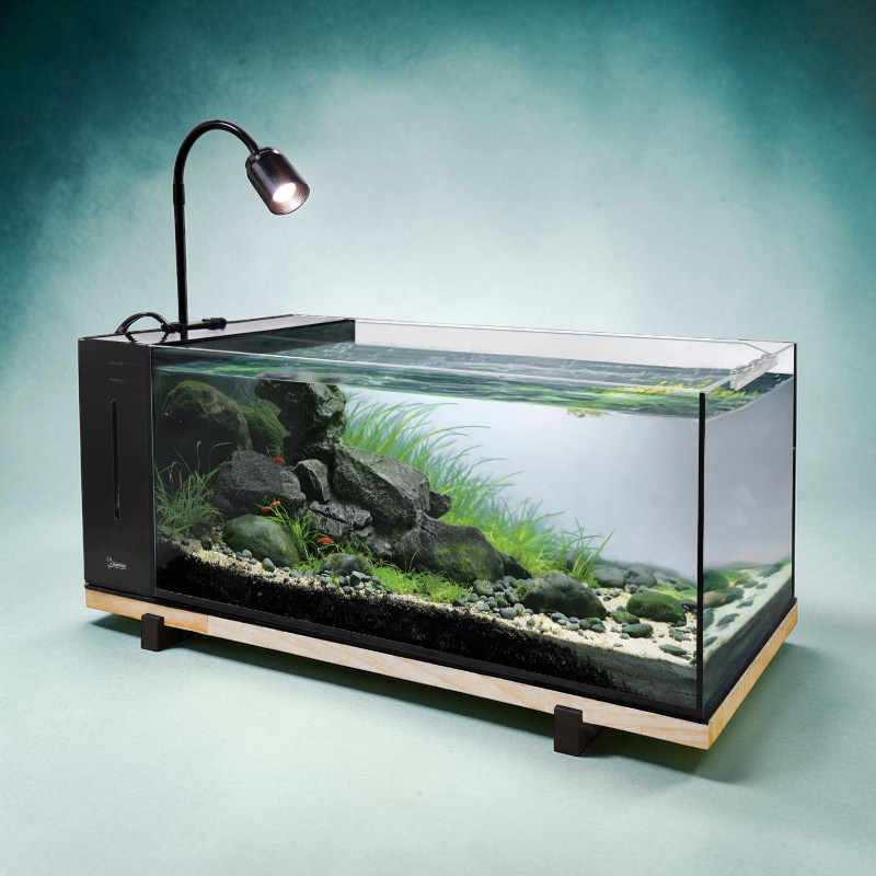 SF River Aquarium 60, modernes Glasbecken mit Aquascape. Mit grossen Steinen, grünen Pflanzen, dunklem Bodengrund und kleinen roten Fischen/Garnelen. LED-Lampe beleuchtet die Wasseroberfläche. Schwarz Technikfach, Holzsockel.