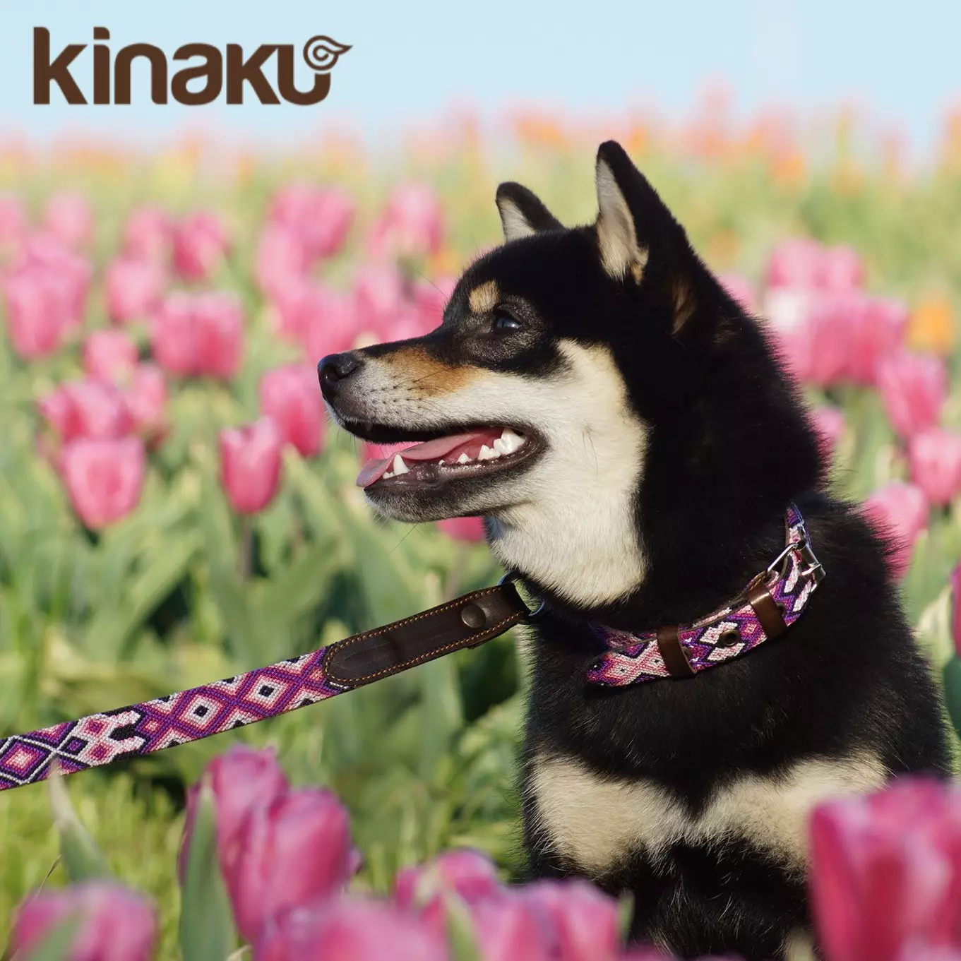 Kinakú collier mexicaine Tonina