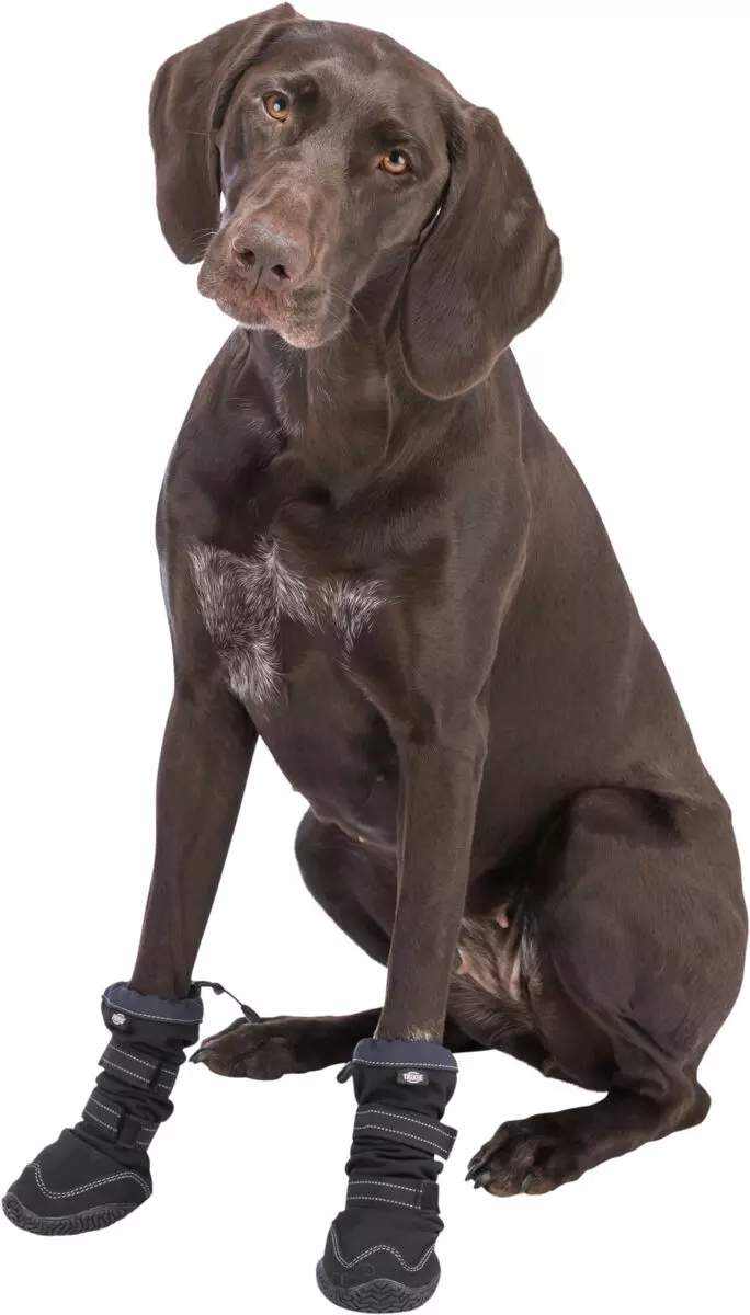 Paw Protection Walker Active long Black Paw Protection Walker Active long Black