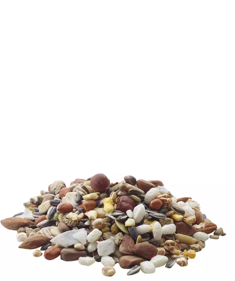 nature-snack-nusse-futtermischung Nuss Leckerbissen von Versele-Laga 85g