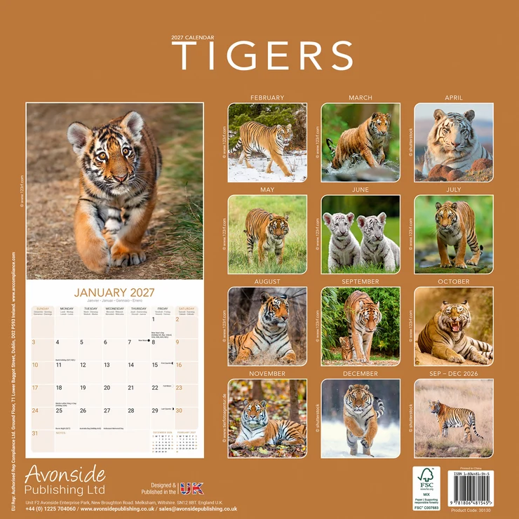 Kalender 2027 Tiger - Tigers