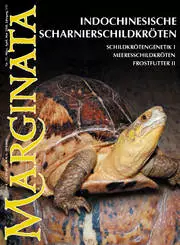 Marginata 17 - Indochinesische Scharnierschildkröten