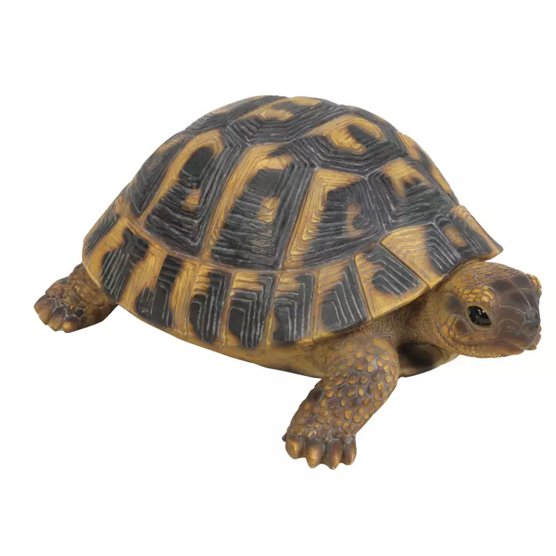 Deko-Figur Schildkröte
