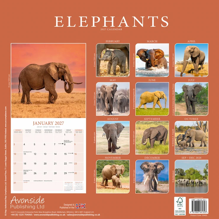 Kalender 2027 Elefanten - Elefant - Elephants