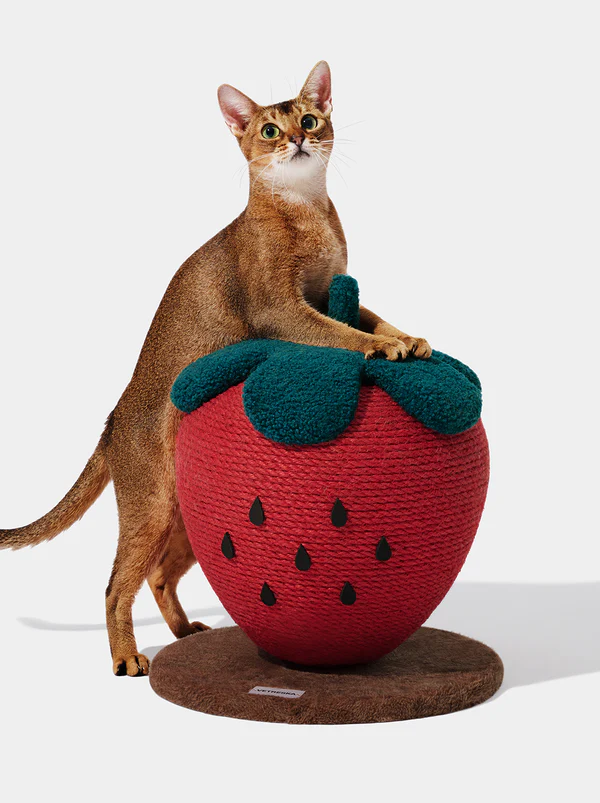 Balle à gratter fraise
