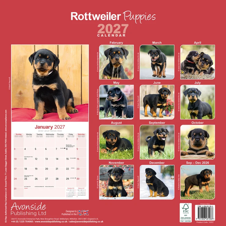 Kalender 2027 Rottweiler - Welpe